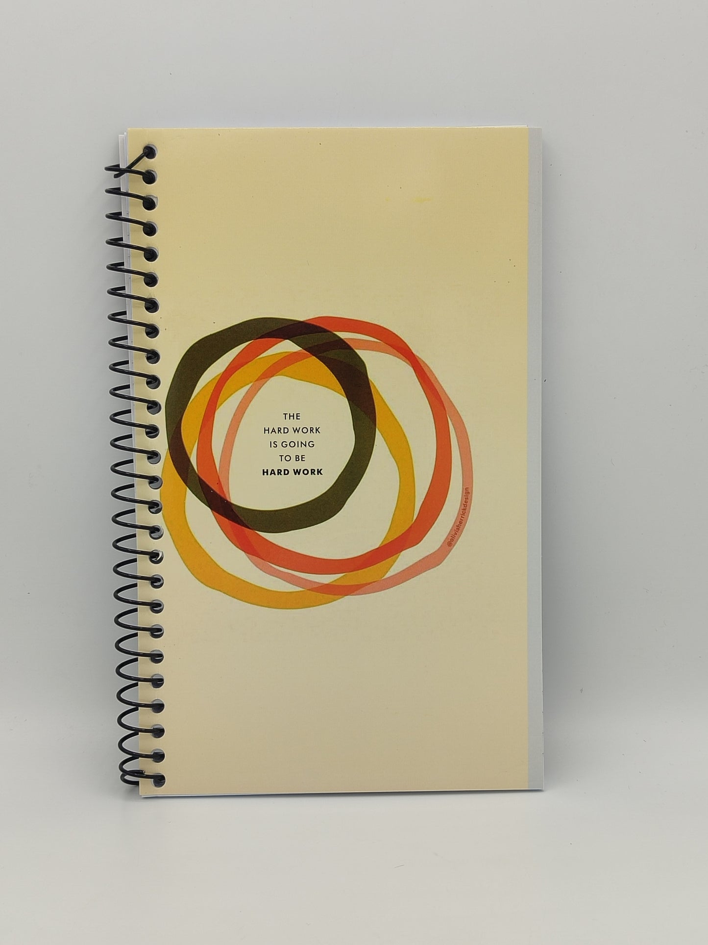 Diary "The Hard Work Is Going To Be Hard Work"